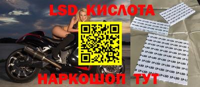 эйфоретик Донской