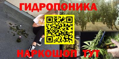 МДПВ Донецк