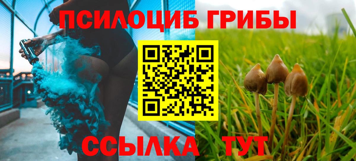 Галлюциногенные грибы GOLDEN TEACHER Дзержинский